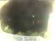 Morcone (Elba) 29.04.2025 21:51