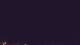 St. Pete Beach, Florida 12.07.2025 21:56