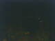 Follonica 29.04.2025 22:52