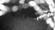 Averill Park, New York 18.03.2025 22:53