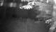 Averill Park, New York 01.07.2025 22:53