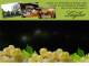 Spitz (Wachau) 03.05.2025 22:54