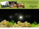 Spitz (Wachau) 29.04.2025 22:54