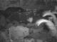 Quart-A-Nancy Point 10.05.2025 22:54