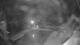 Santa Pola 18.04.2025 22:54