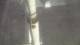 Miramar, Florida 30.04.2025 22:04