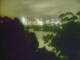 Linley Point 30.06.2025 22:54