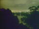 Linley Point 10.05.2025 22:55