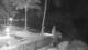Napili, Hawaii 28.04.2025 22:55