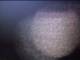 Saint-Priest 04.07.2025 22:56