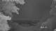 Monte Longonot 08.06.2025 22:46