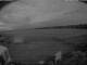 Varrelbusch 03.06.2025 22:58