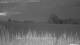 't Zandt 14.06.2025 22:58