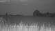 't Zandt 08.06.2025 22:58