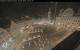 Augusta 29.04.2025 22:47