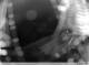 Spodsbjerg (Langeland) 15.03.2025 22:59