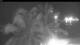 Les Anses-d'Arlet 29.04.2025 22:57