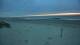 Westende 23.05.2025 22:01