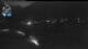 Flattach 04.07.2025 22:01