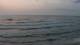 Pobierowo 08.06.2025 22:03