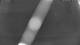 Gartow 29.04.2025 22:05