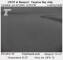Newport, Oregon 01.06.2025 22:05