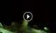 Alba Adriatica 30.04.2025 22:06