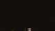 Lexington, Kentucky 29.04.2025 22:23