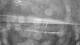 Outer Island, Connecticut 18.03.2025 22:23