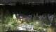Bellevue, Washington 29.04.2025 22:26
