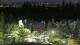 Bellevue, Washington 08.06.2025 22:26