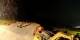 Verbier 29.04.2025 22:56