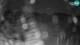 Rogla 14.06.2025 22:06
