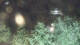 Bad Pyrmont 17.03.2025 22:47