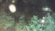 Bad Pyrmont 29.04.2025 22:47