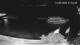 Huvahendhoo (Atoll d'Ari) 14.06.2025 22:08