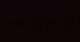 Gargellen 29.04.2025 22:10