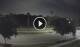 Reunion, Florida 29.04.2025 22:11
