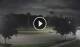 Reunion, Florida 01.07.2025 22:10