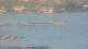 Balaruc-les-Bains 30.06.2025 22:11