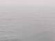 AIDAbella 01.07.2025 22:11