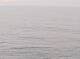 AIDAbella 02.07.2025 22:11
