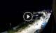 Santa Cesarea Terme 30.04.2025 22:13