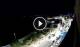 Santa Cesarea Terme 29.04.2025 22:13