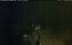 Walton 03.07.2025 22:08