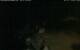 Walton 05.07.2025 22:08