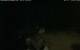 Walton 07.07.2025 22:08