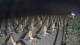 Castiglione della Pescaia 09.07.2025 22:13