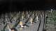 Castiglione della Pescaia 14.07.2025 22:23
