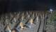 Castiglione della Pescaia 03.07.2025 22:13